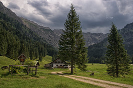 Bernhard Saalfeld - Retterschwanger Tal